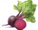 beetroot